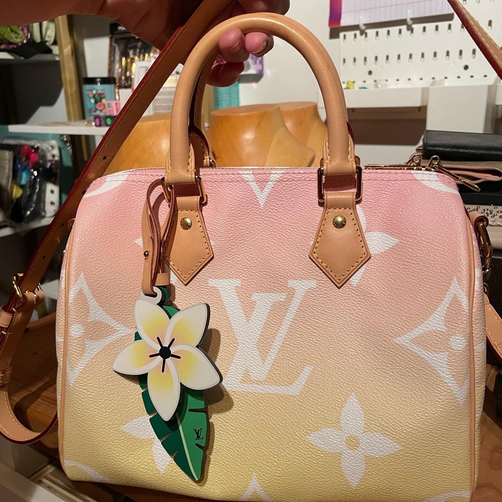 Louis Vuitton Pink and Yellow By the Pool Speedy 25 bag with crossbody strap